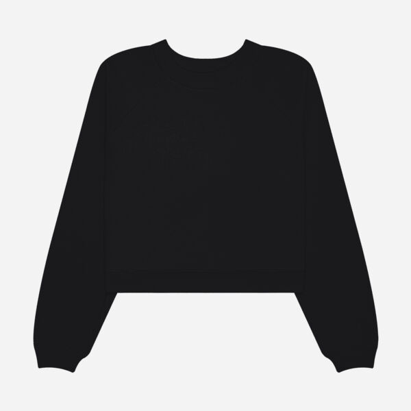 Women's Raglan Pullover Sponge Fleece Thumbnail